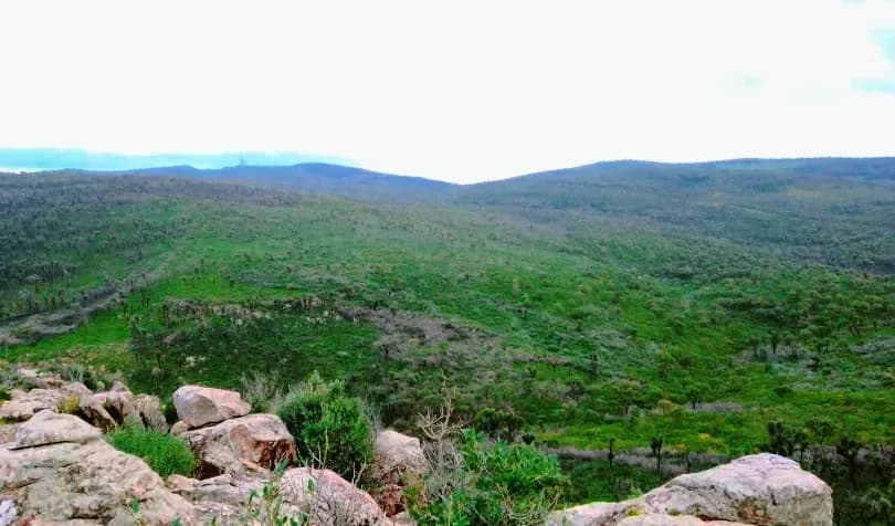 Montagne Bin El Kifan, balcon naturel