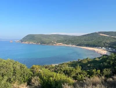 cap-rosa-joyau-sauvage-del-kala-el-tarf-i0