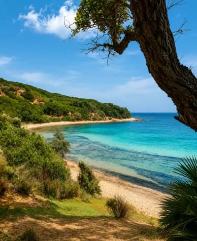 cap-rosa-joyau-sauvage-del-kala-el-tarf-i1