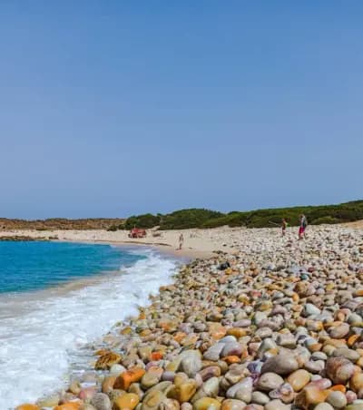cap-rosa-joyau-sauvage-del-kala-el-tarf-i2