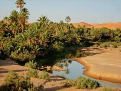 vallee-de-la-saoura-bechar-i1