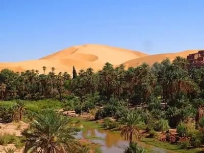 vallee-de-la-saoura-bechar-i2
