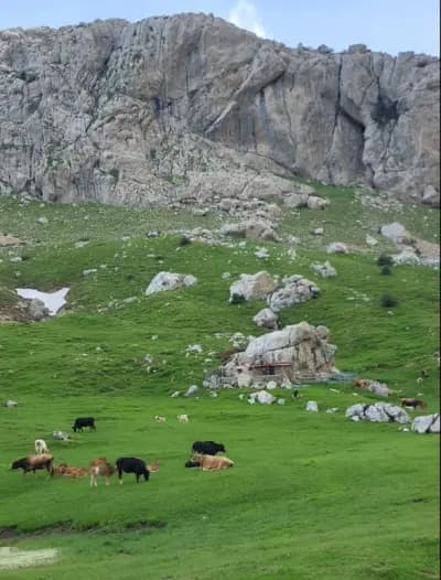 aswel-tizi-ouzou-i1