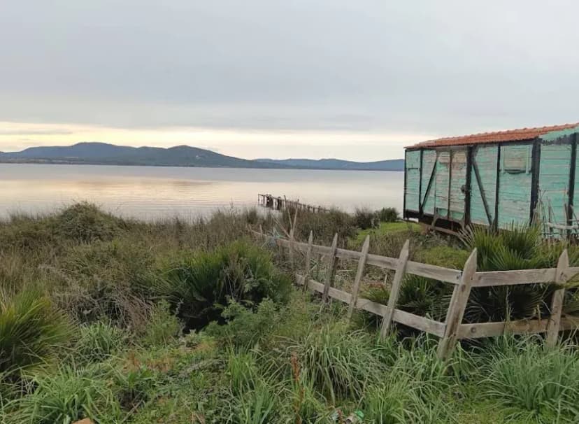 Lac Mellah, joyau lagunaire d’El Kala