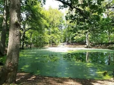 lac-vert-tizi-ouzou-i0