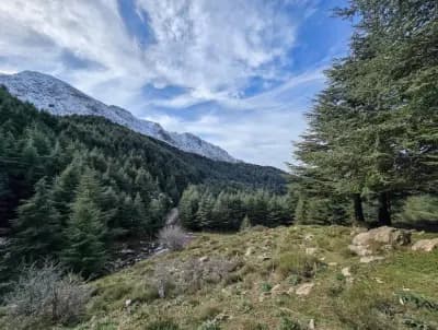 tala-guilef-tizi-ouzou-i6