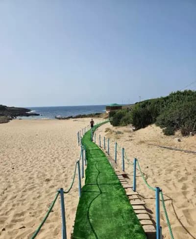 plage-boufkirina-el-tarf-i0