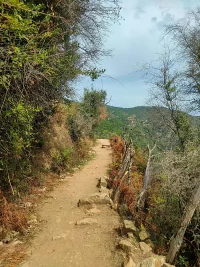 smouma-sidi-ouada-tiaret-i1