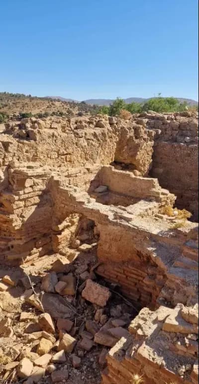vestiges-de-letat-rostemide-tiaret-i0