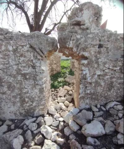 vestiges-de-letat-rostemide-tiaret-i1