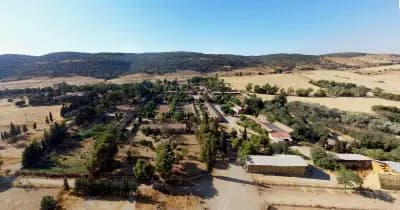 jumenterie-de-chaouchaoua-tiaret-i0