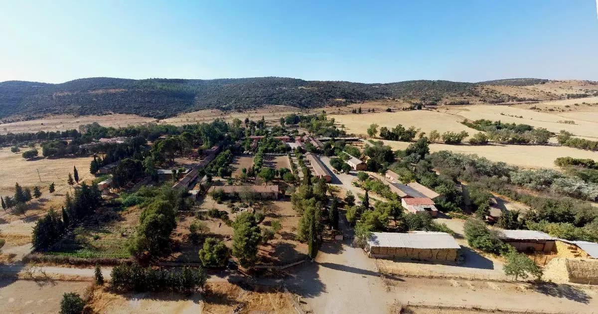 Jumenterie de Chaouchaoua