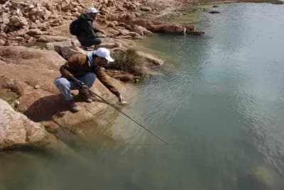 barrage-de-bakhadda-tiaret-i1