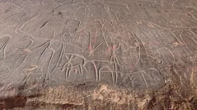 gravures-rupestre-taghit-bechar-i0