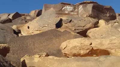 gravures-rupestre-taghit-bechar-i2