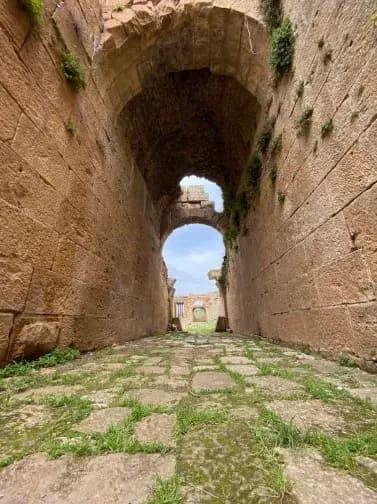 theatre-romain-khmissa-souk-ahras-i1