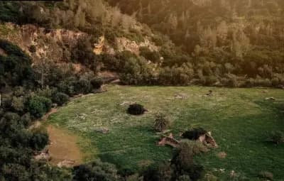 foret-de-garboussa-tiaret-i0