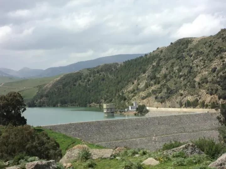 Lac Ain dalia | Souk Ahras