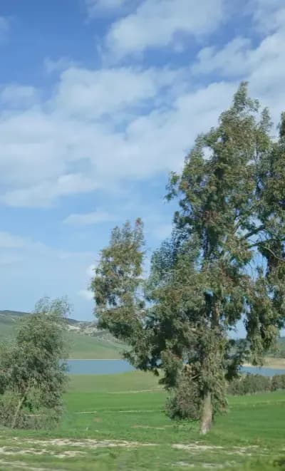lac-ain-dalia-or-souk-ahras-souk-ahras-i3