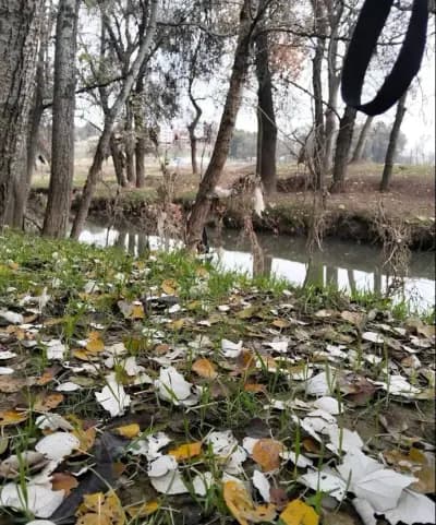 oued-boussellam-setif-i1