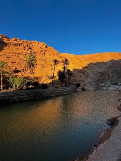mchouneche-natural-park-biskra-biskra-i0