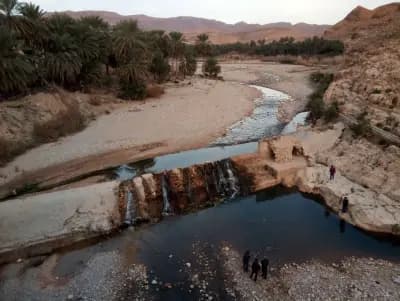 mchouneche-natural-park-biskra-biskra-i1