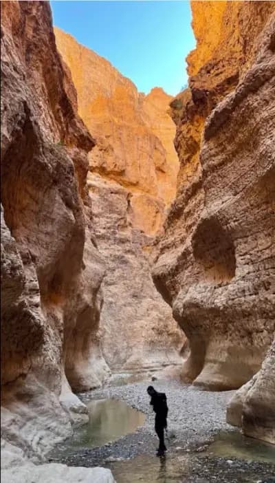 mchouneche-natural-park-biskra-biskra-i2