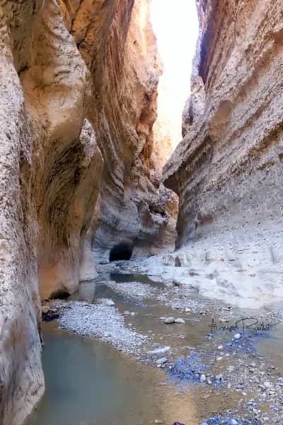 mchouneche-natural-park-biskra-biskra-i3