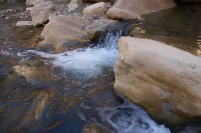 mchouneche-natural-park-biskra-biskra-i5