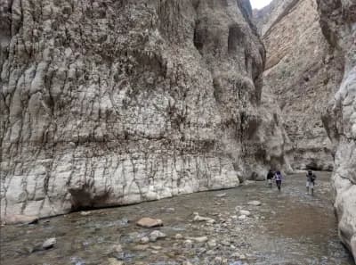 mchouneche-natural-park-biskra-biskra-i6