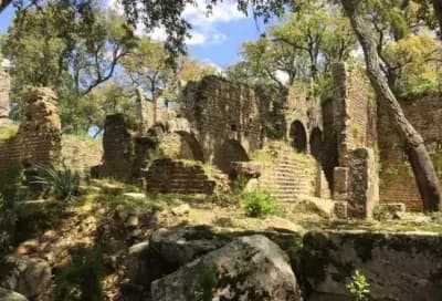 palais-lalla-fatma-el-tarf-i0