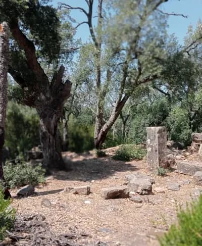 palais-lalla-fatma-el-tarf-i2