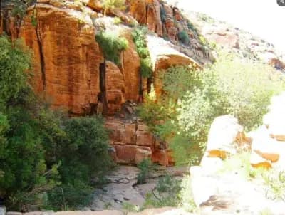 had-sahary-djelfa-i1