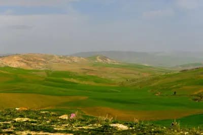 ghazal-djelfa-i0