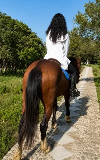 yoga-and-balade-a-cheval-alger-alger-i2
