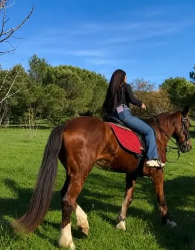 yoga-and-balade-a-cheval-alger-alger-i5