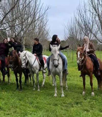 yoga-and-balade-a-cheval-alger-alger-i7