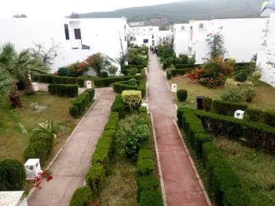 hammamat-ouled-ali-guelma-guelma-i4