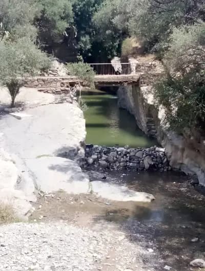 hammam-assala-or-guelma-guelma-i0