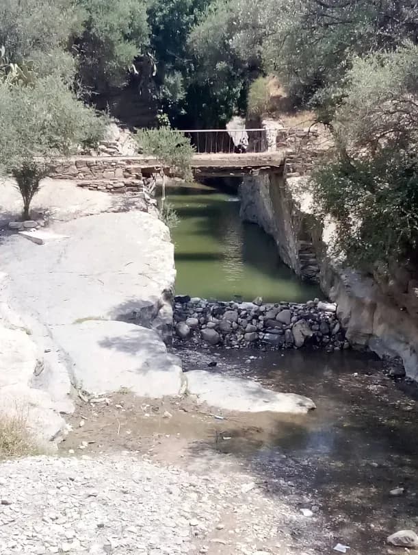 Hammam Assala | Guelma