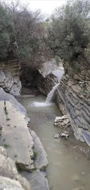 hammam-assala-or-guelma-guelma-i1