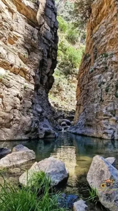 guelta-zerga-or-guelma-guelma-i1