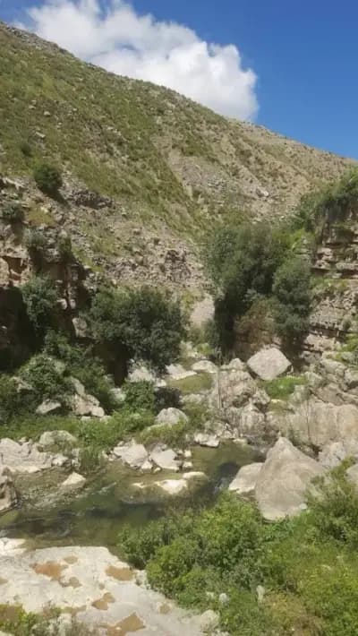 guelta-zerga-or-guelma-guelma-i2
