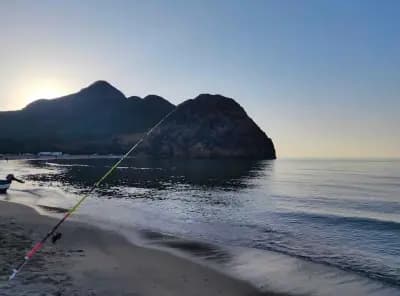 plage-de-madagh-ain-temouchent-i1