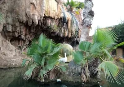 hammam-bou-hadjar-ain-temouchent-i0