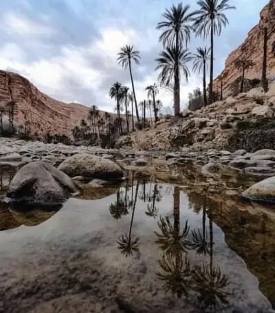 el-hamma-khenchela-i2
