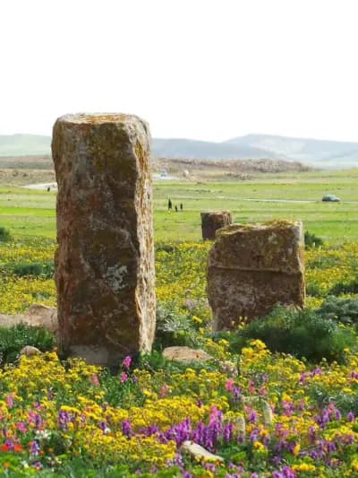 hammam-el-knif-khenchela-khenchela-i1