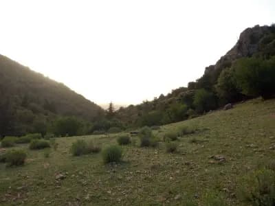 ain-mimoun-khenchela-i2