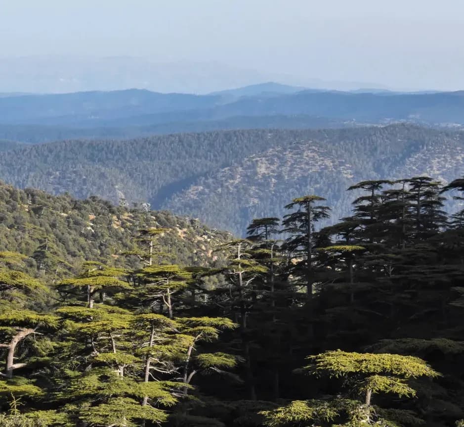 Les Montagnes de l’Aurès à Khenchela