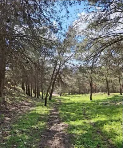 larache-a-setif-nature-et-ruralite-setif-i2